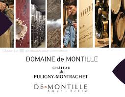(image for) De Montille NUITS ST GEORGES AUX ST JULIEN 2017 (GL)